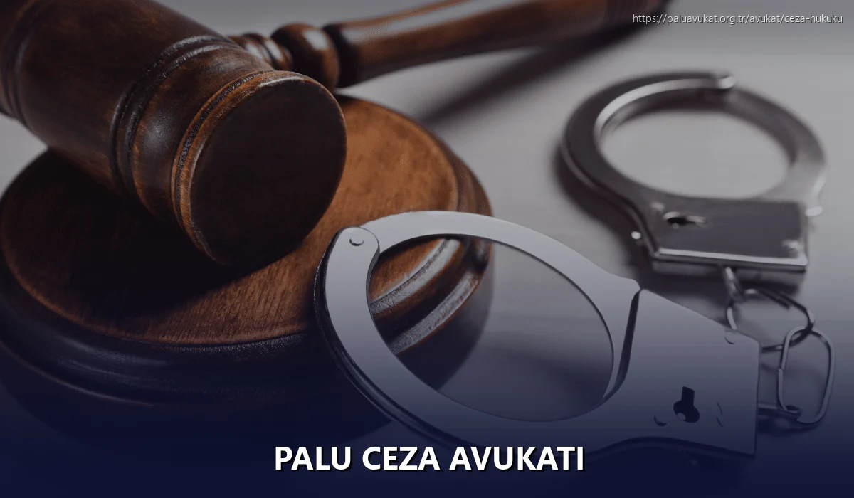 Palu Ceza Avukatı