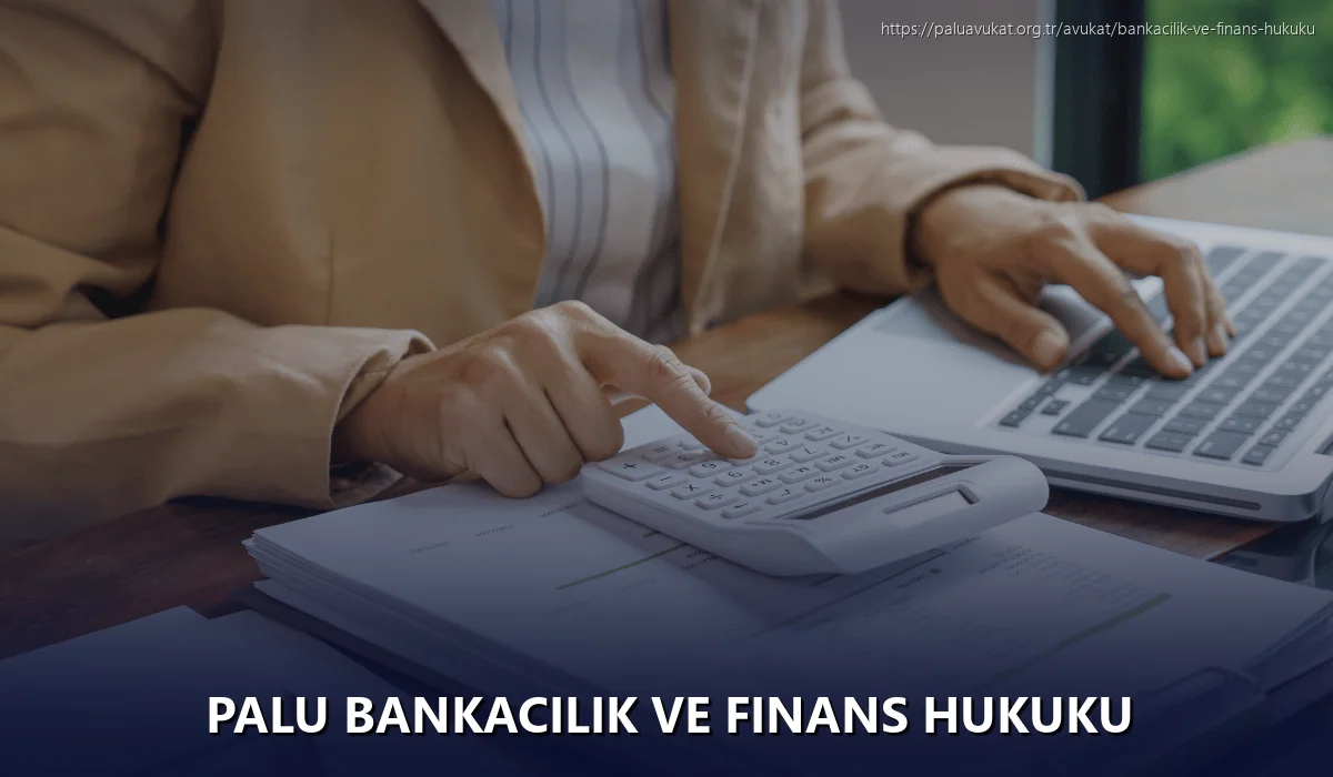 Palu Bankacılık ve Finans Hukuku