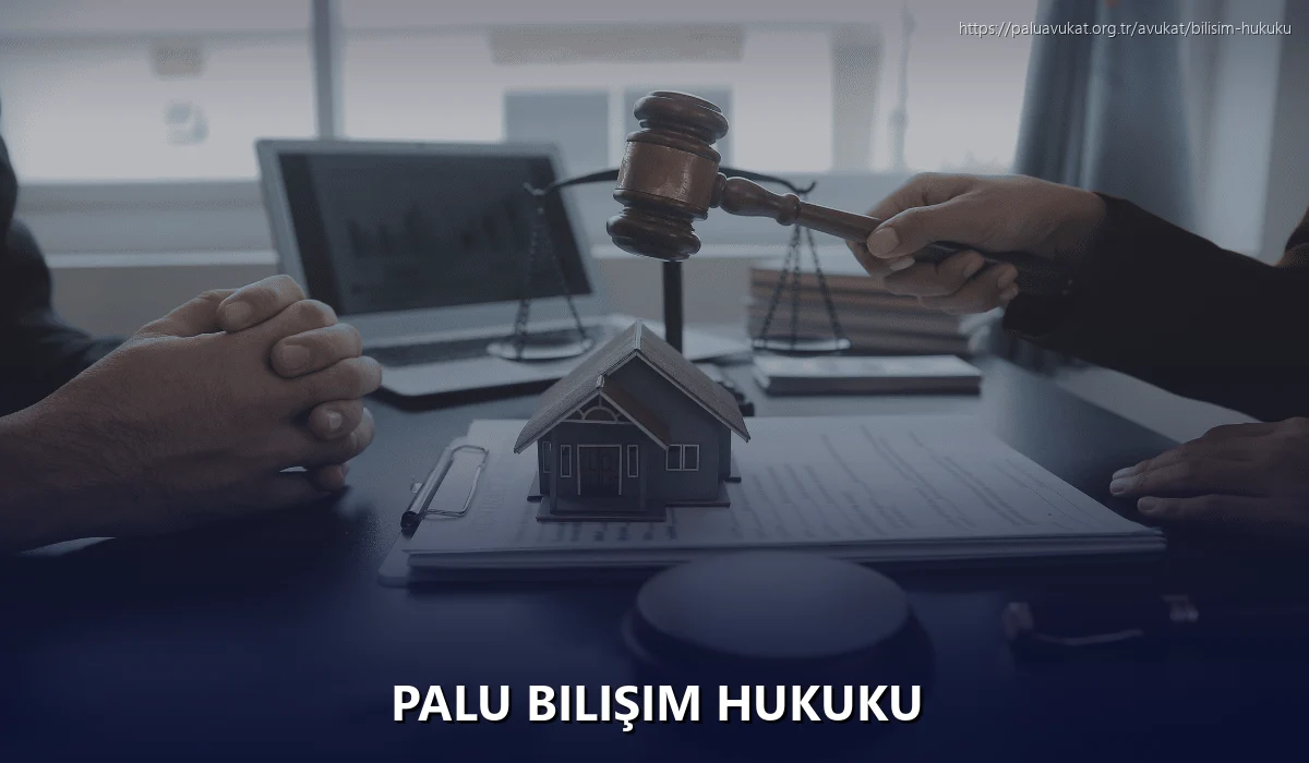 Palu Bilişim Hukuku