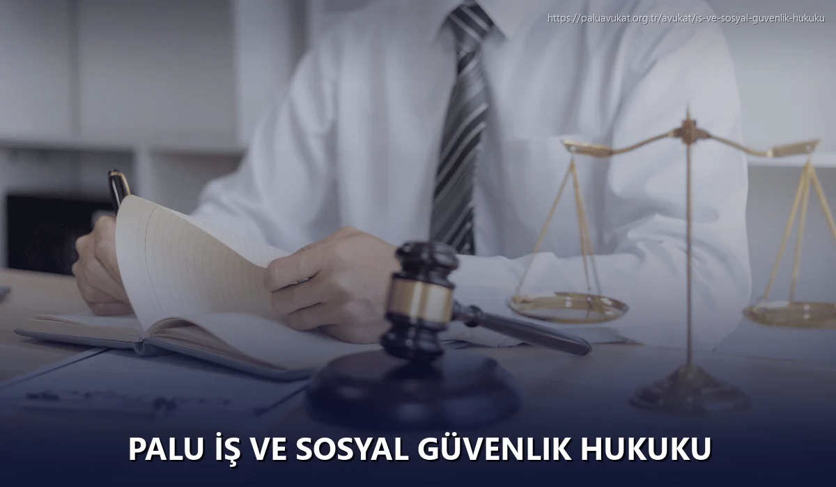 Palu İş ve Sosyal Güvenlik Hukuku