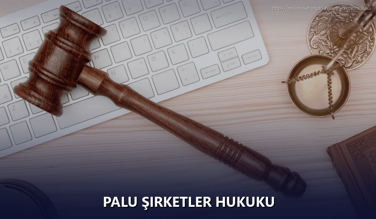 Palu Şirketler Hukuku