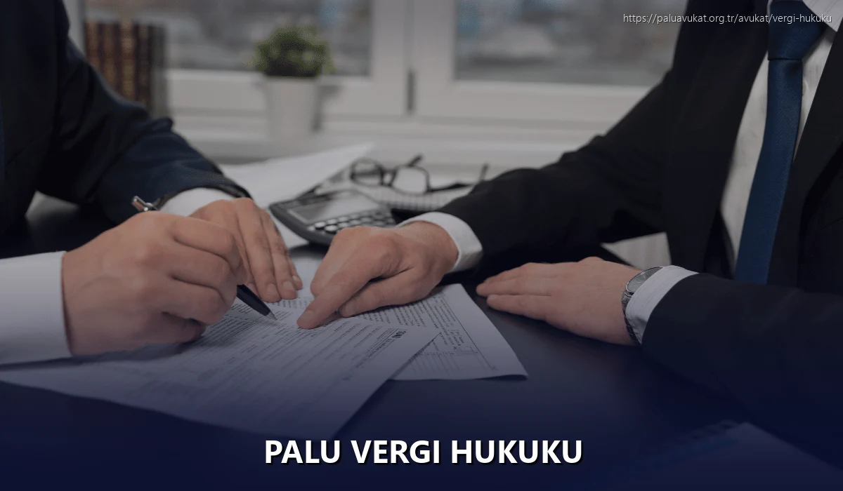 Palu Vergi Hukuku